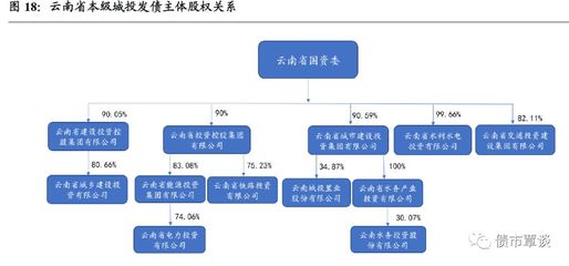 彩云之南 | 云南省城投梳理与比较