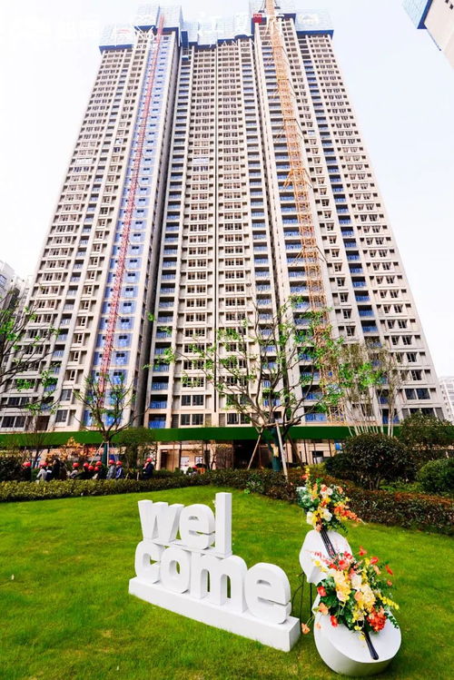 做房地产业的 透明工厂 武汉旭辉客户体验之旅圆满结束
