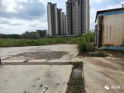2.1亿低价起拍 高州一地产商的不动产 含 别墅 商品楼 司法拍卖