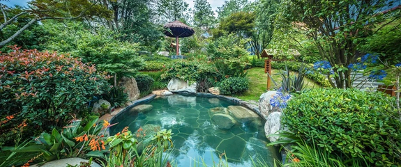 云南美好生活全球发布会北京站 | 一天新“四”一天