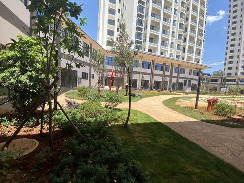 全款17万起，云南5A级景区旅居房产带回家